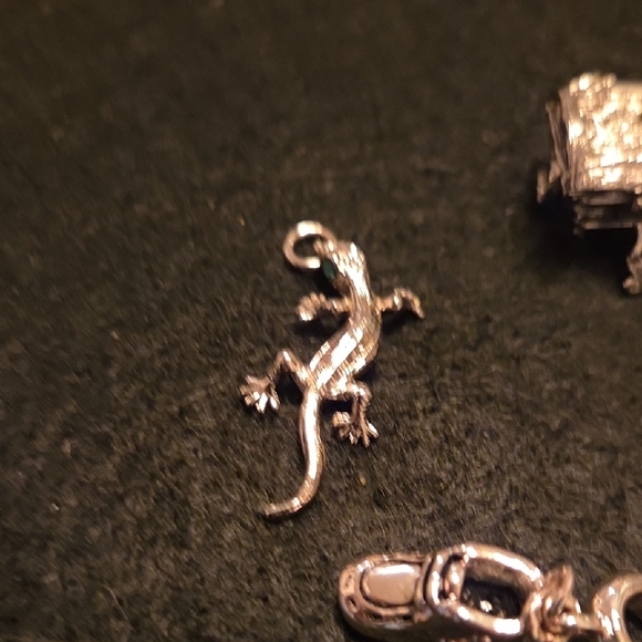 Silver Charm Set - Picture 6 of 6